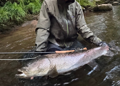 【4月上旬予定】NES 8100-4 10'0" #8/9 Monster