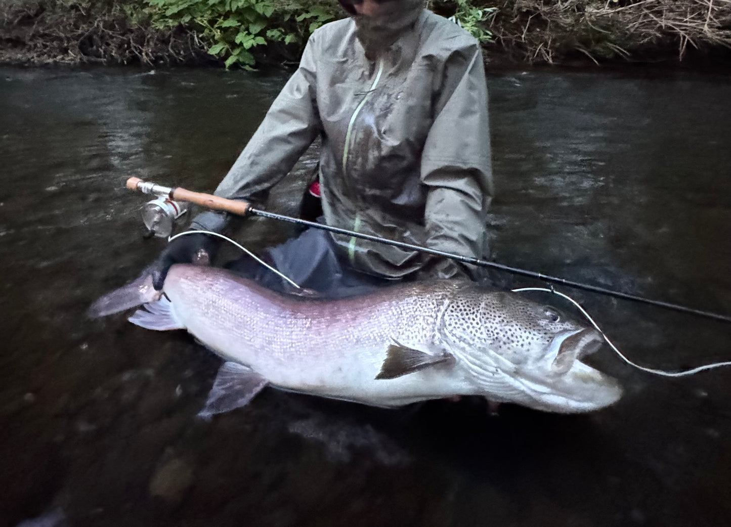 【4月上旬予定】NES 8100-4 10'0" #8/9 Monster