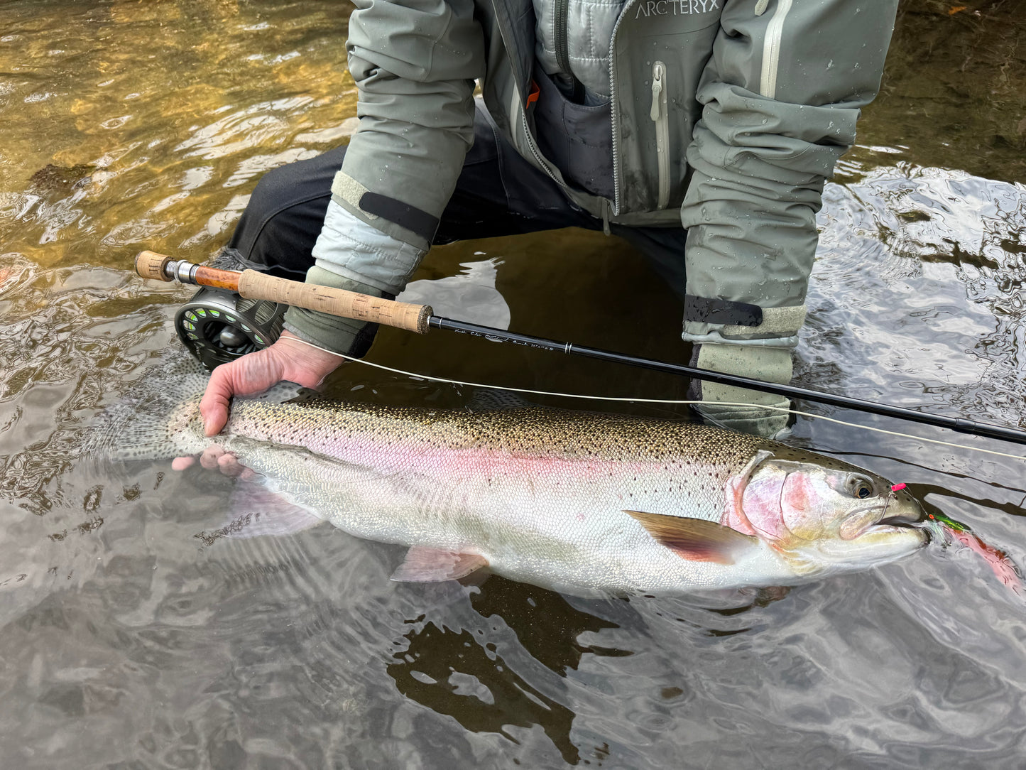 【4月上旬予定】NES 8100-4 10'0" #8/9 Monster