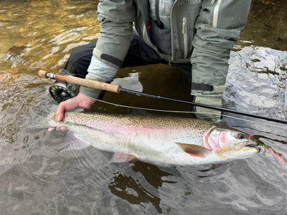 【4月上旬予定】NES 8100-4 10'0" #8/9 Monster