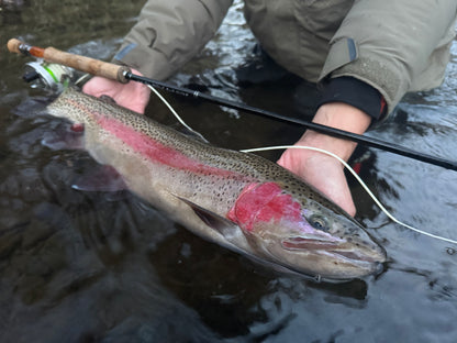 【4月上旬予定】NES 8100-4 10'0" #8/9 Monster