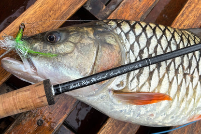 【4月上旬予定】NES 8100-4 10'0" #8/9 Monster