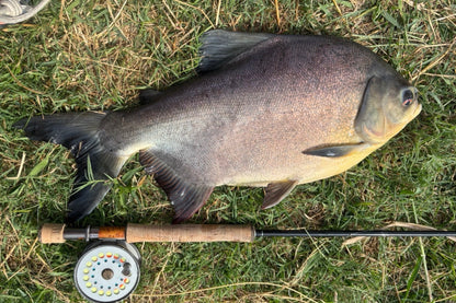 【4月上旬予定】NES 8100-4 10'0" #8/9 Monster