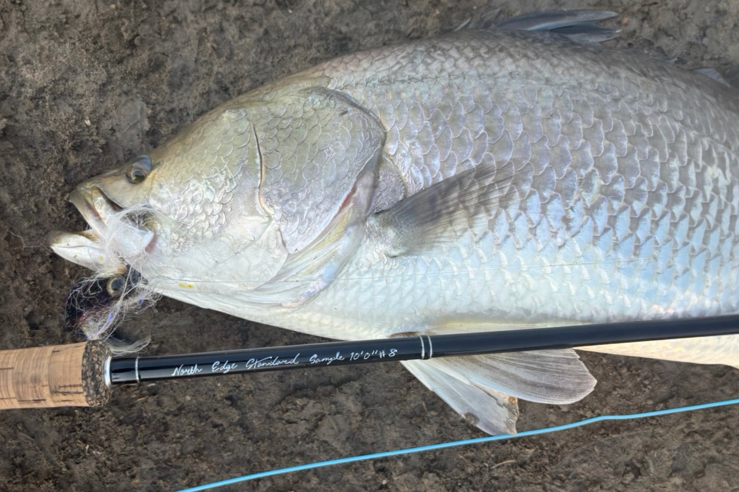 【4月上旬予定】NES 8100-4 10'0" #8/9 Monster