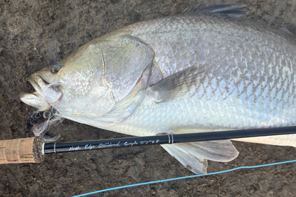 【4月上旬予定】NES 8100-4 10'0" #8/9 Monster